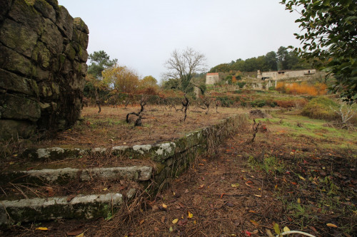 Big House of Cabanelas - image 4